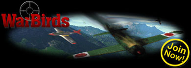 imagiconline offers warbirds and dawn of aces online combat sims.  $1.99 an hour (ouch)